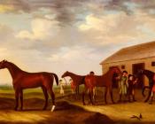 Four Racehorses Outside The Rubbing Down House Newmarket - 弗朗西斯·赛多利斯